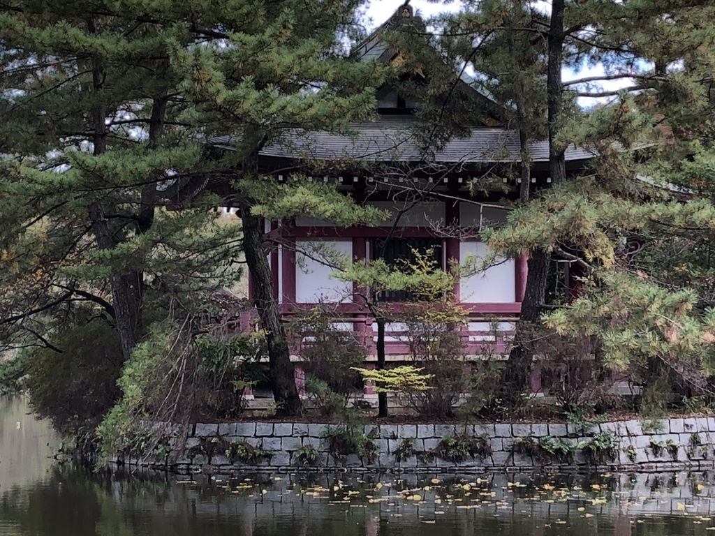 f:id:hideki-sansho:20181120145748j:plain f:id:hideki-sansho:20181120145748j:plain