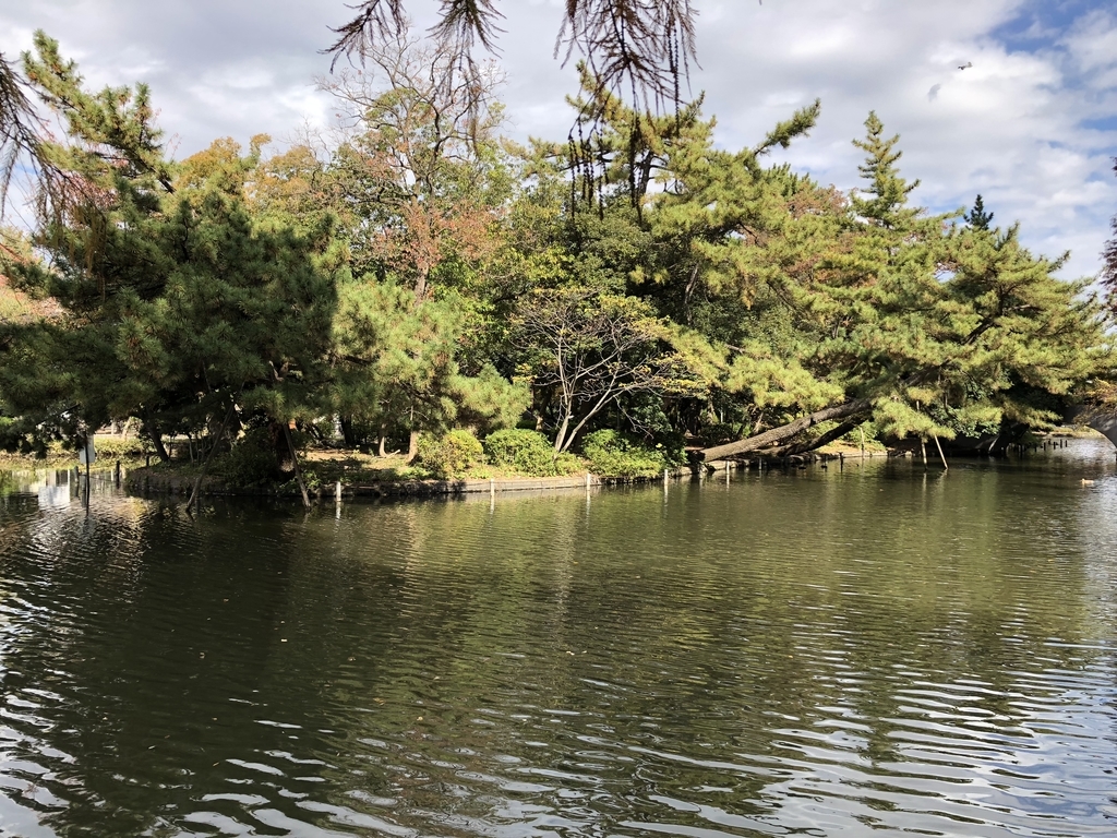 f:id:hideki-sansho:20181120150109j:plain f:id:hideki-sansho:20181120150109j:plain
