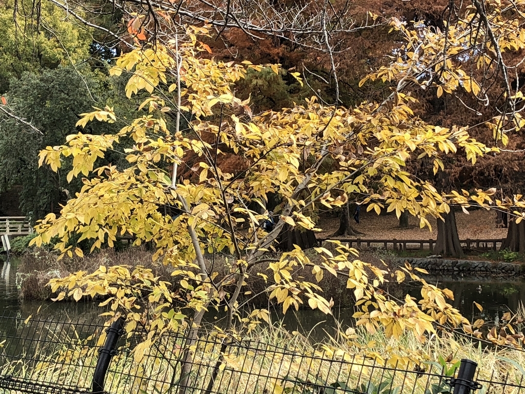 f:id:hideki-sansho:20181120150549j:plain