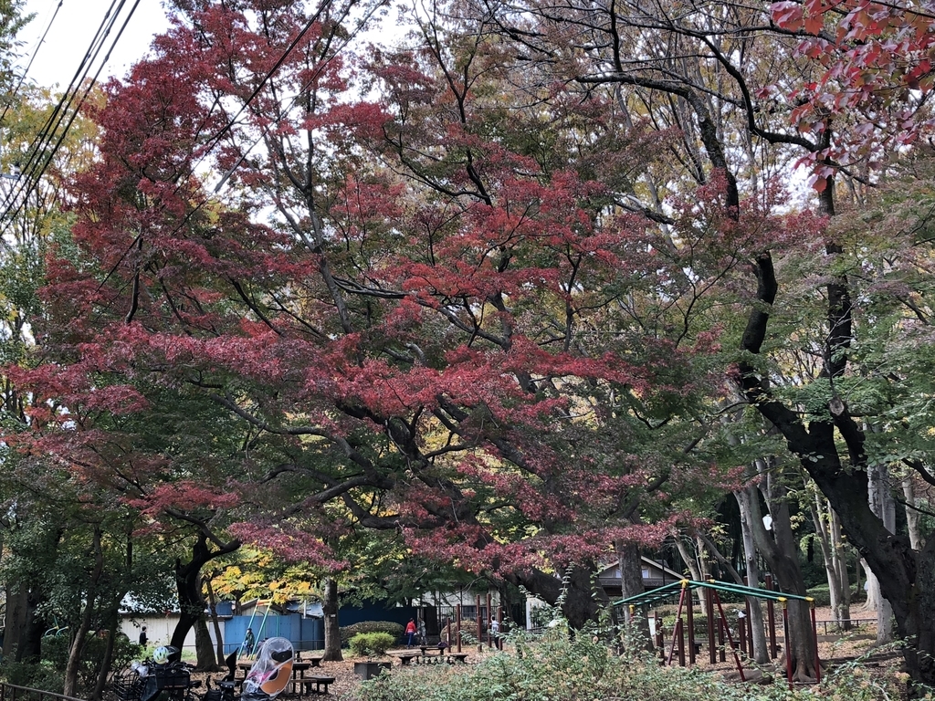 f:id:hideki-sansho:20181120150619j:plain