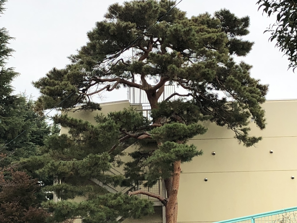 f:id:hideki-sansho:20181122141008j:plain