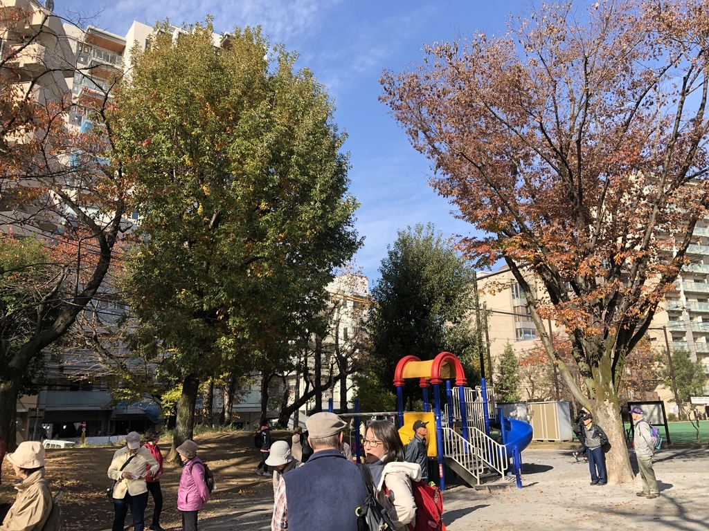 f:id:hideki-sansho:20181201143215j:plain f:id:hideki-sansho:20181201143215j:plain