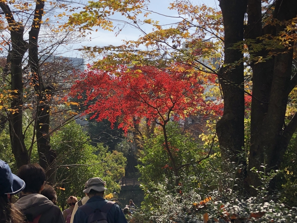 f:id:hideki-sansho:20181201144955j:plain f:id:hideki-sansho:20181201144955j:plain