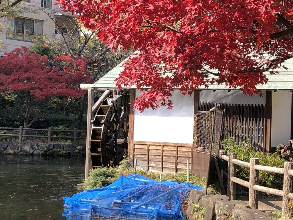 f:id:hideki-sansho:20181201145040j:plain f:id:hideki-sansho:20181201145040j:plain