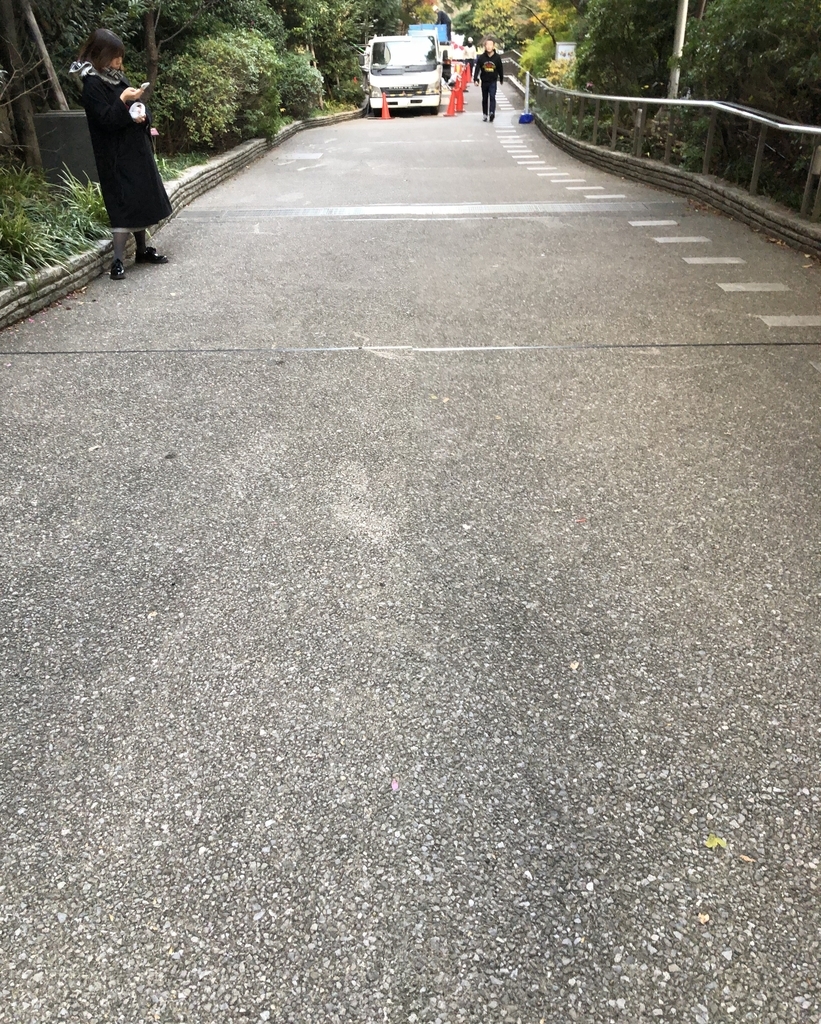 f:id:hideki-sansho:20181209113726j:plain f:id:hideki-sansho:20181209113726j:plain