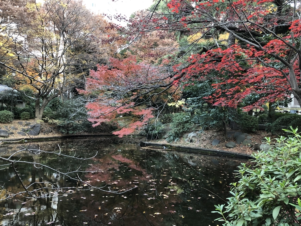 f:id:hideki-sansho:20181209114937j:plain f:id:hideki-sansho:20181209114937j:plain