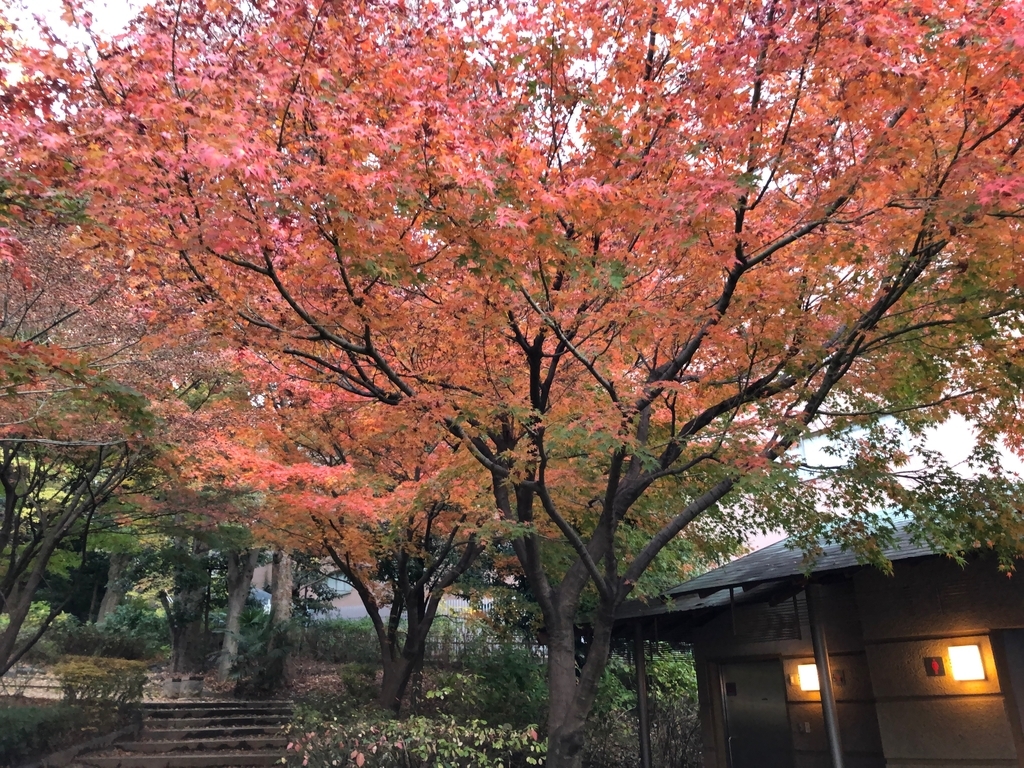 f:id:hideki-sansho:20181209114953j:plain f:id:hideki-sansho:20181209114953j:plain