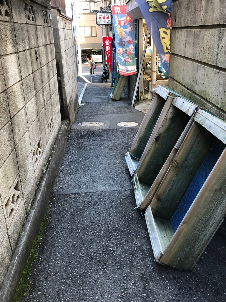 f:id:hideki-sansho:20181214195925j:plain f:id:hideki-sansho:20181214195925j:plain