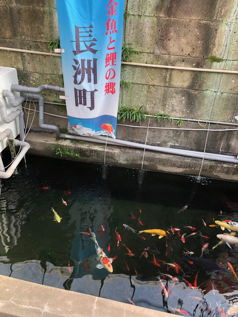 f:id:hideki-sansho:20181214195942j:plain f:id:hideki-sansho:20181214195942j:plain