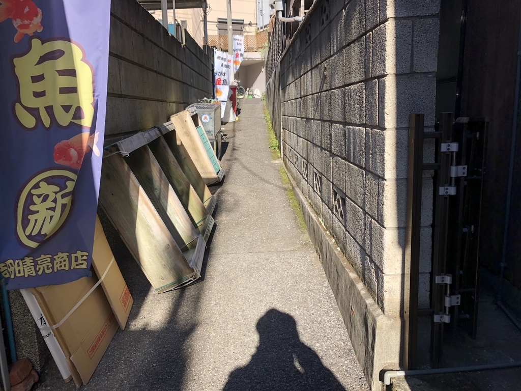 f:id:hideki-sansho:20181214200259j:plain f:id:hideki-sansho:20181214200259j:plain