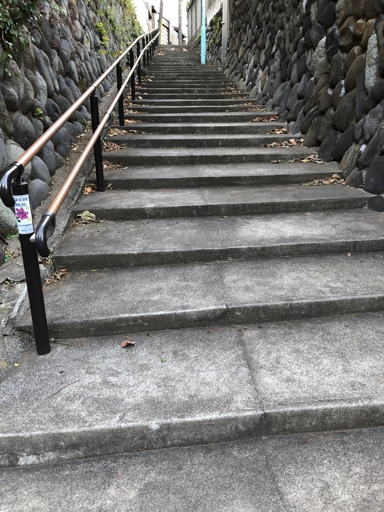f:id:hideki-sansho:20181214201813j:plain f:id:hideki-sansho:20181214201813j:plain