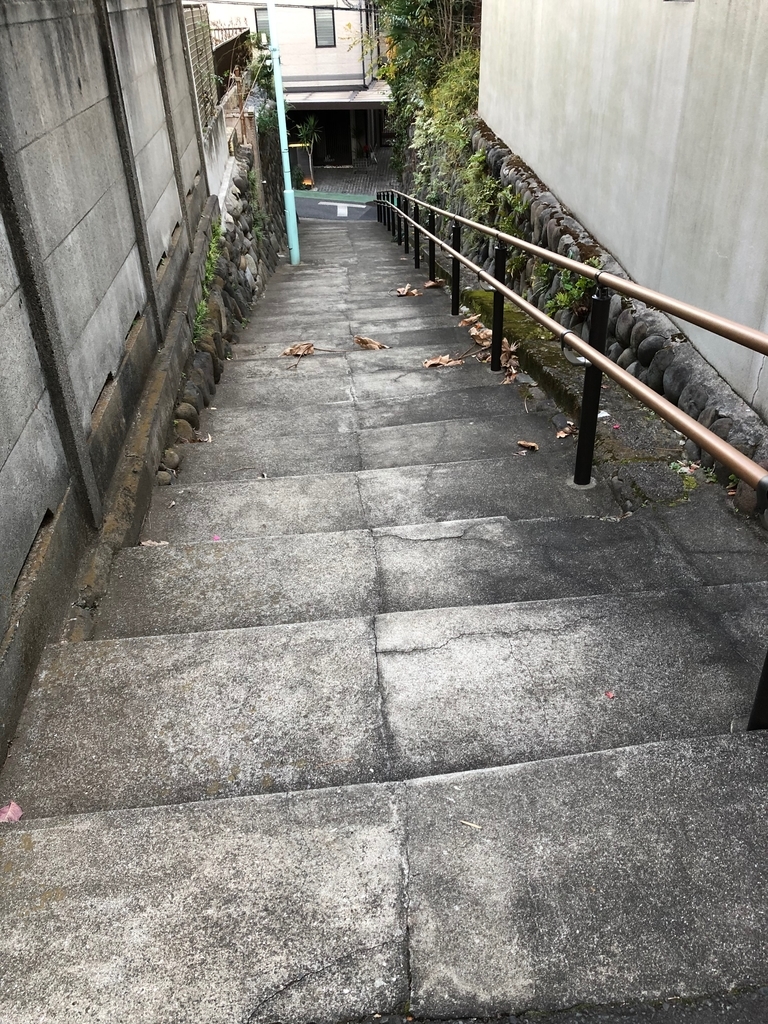 f:id:hideki-sansho:20181214201828j:plain f:id:hideki-sansho:20181214201828j:plain