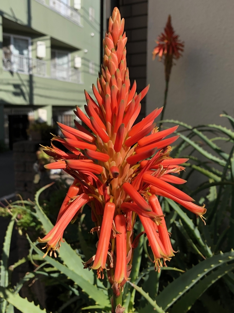 f:id:hideki-sansho:20190101141617j:plain f:id:hideki-sansho:20190101141617j:plain