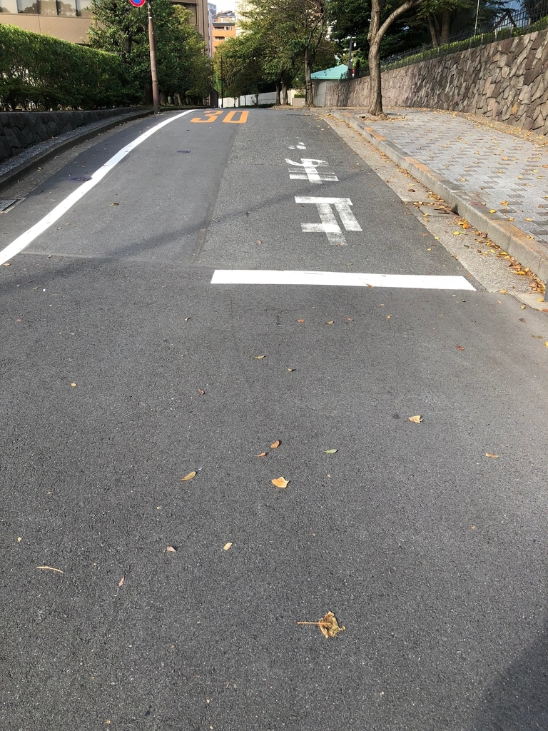 f:id:hideki-sansho:20190101144342j:plain f:id:hideki-sansho:20190101144342j:plain