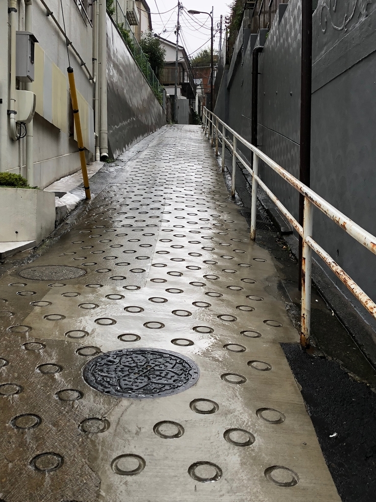 f:id:hideki-sansho:20190105102606j:plain f:id:hideki-sansho:20190105102606j:plain