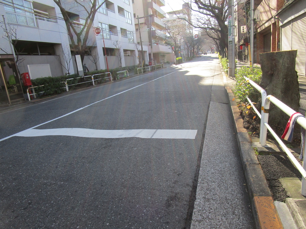 f:id:hideki-sansho:20190108203018j:plain f:id:hideki-sansho:20190108203018j:plain
