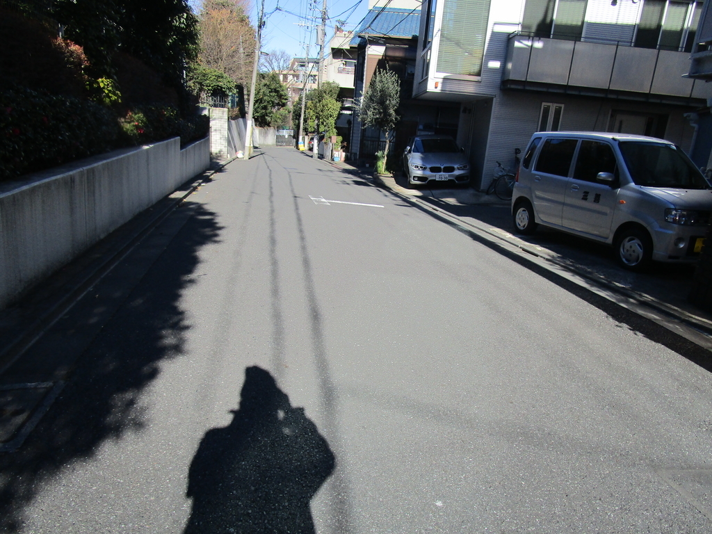f:id:hideki-sansho:20190108203405j:plain f:id:hideki-sansho:20190108203405j:plain