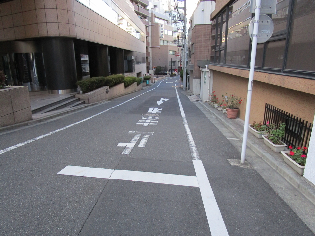 f:id:hideki-sansho:20190110125154j:plain f:id:hideki-sansho:20190110125154j:plain
