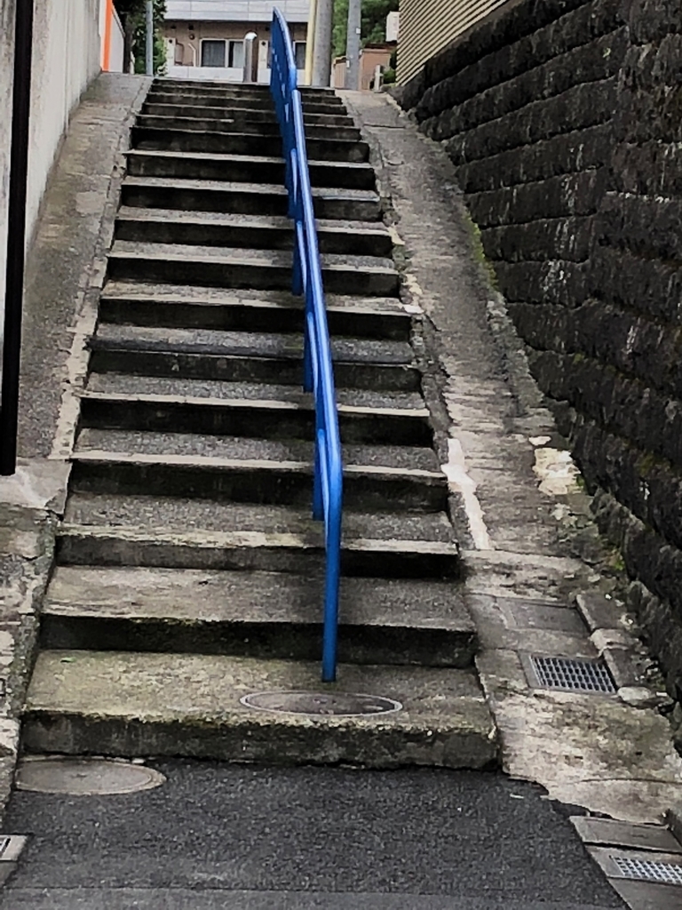 f:id:hideki-sansho:20190110130529j:plain f:id:hideki-sansho:20190110130529j:plain