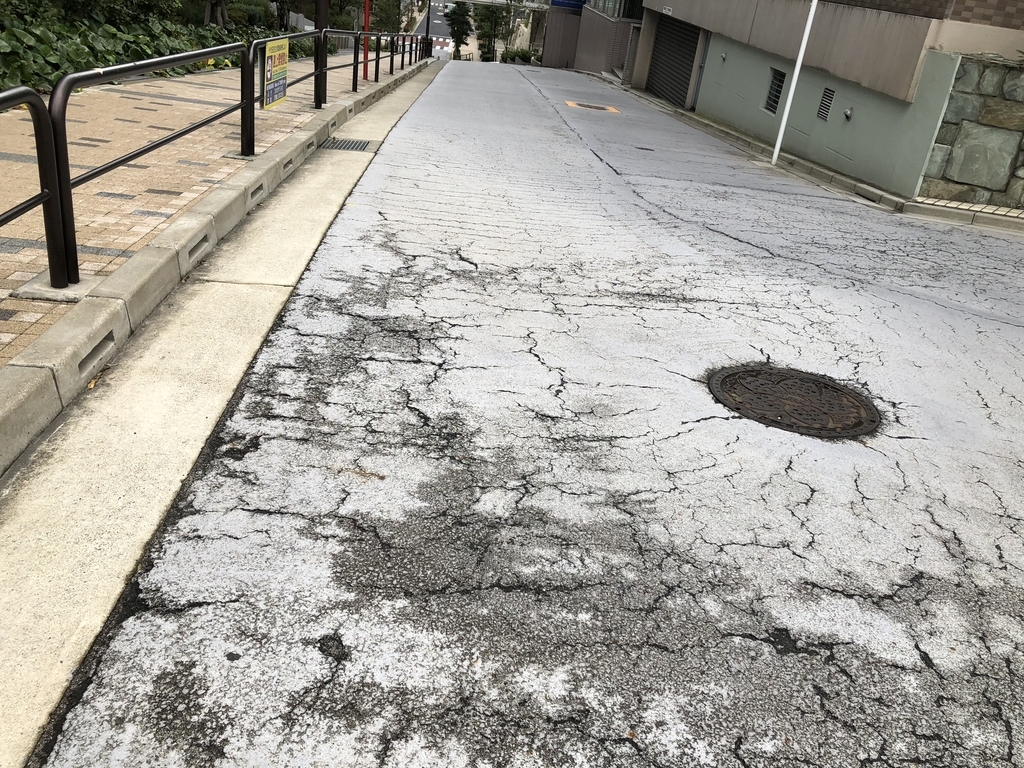 f:id:hideki-sansho:20190110130851j:plain f:id:hideki-sansho:20190110130851j:plain