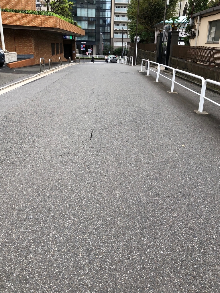 f:id:hideki-sansho:20190110131151j:plain f:id:hideki-sansho:20190110131151j:plain