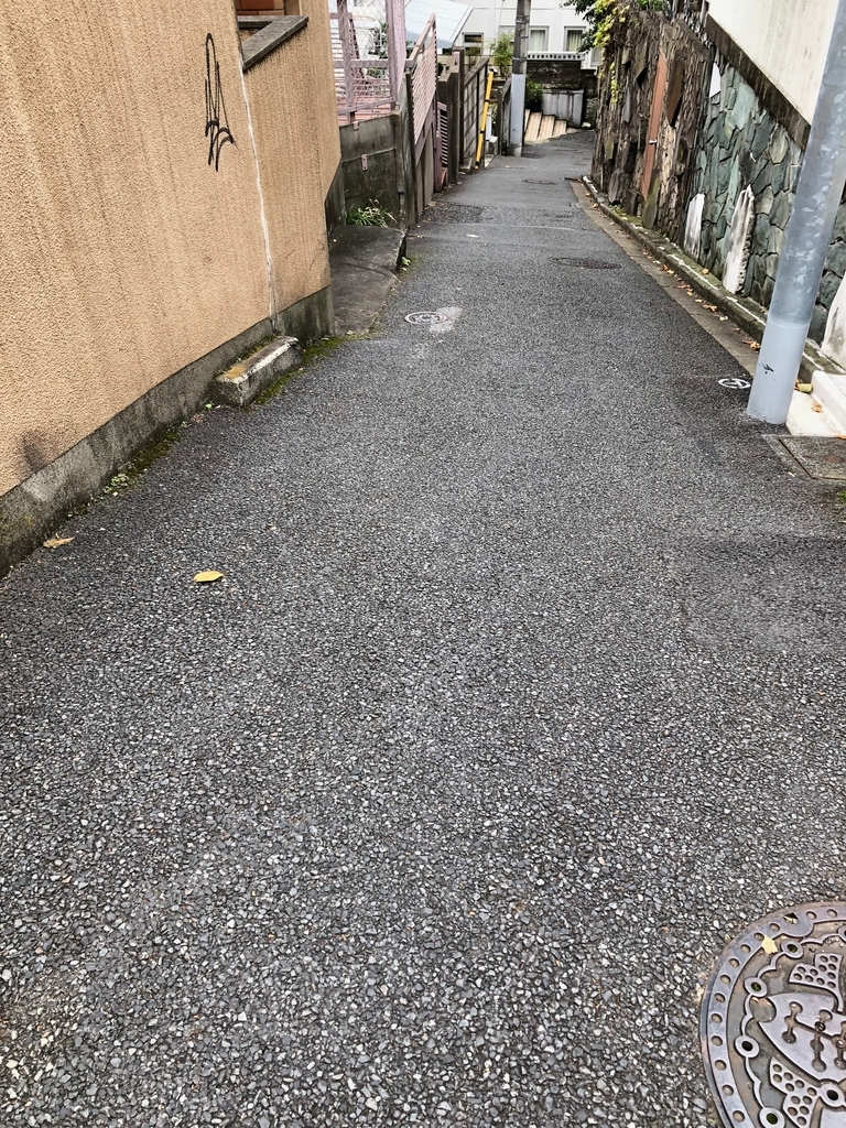 f:id:hideki-sansho:20190110133556j:plain f:id:hideki-sansho:20190110133556j:plain