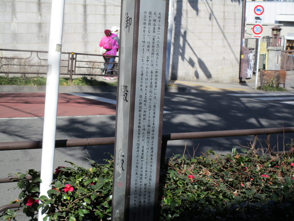 f:id:hideki-sansho:20190113193807j:plain