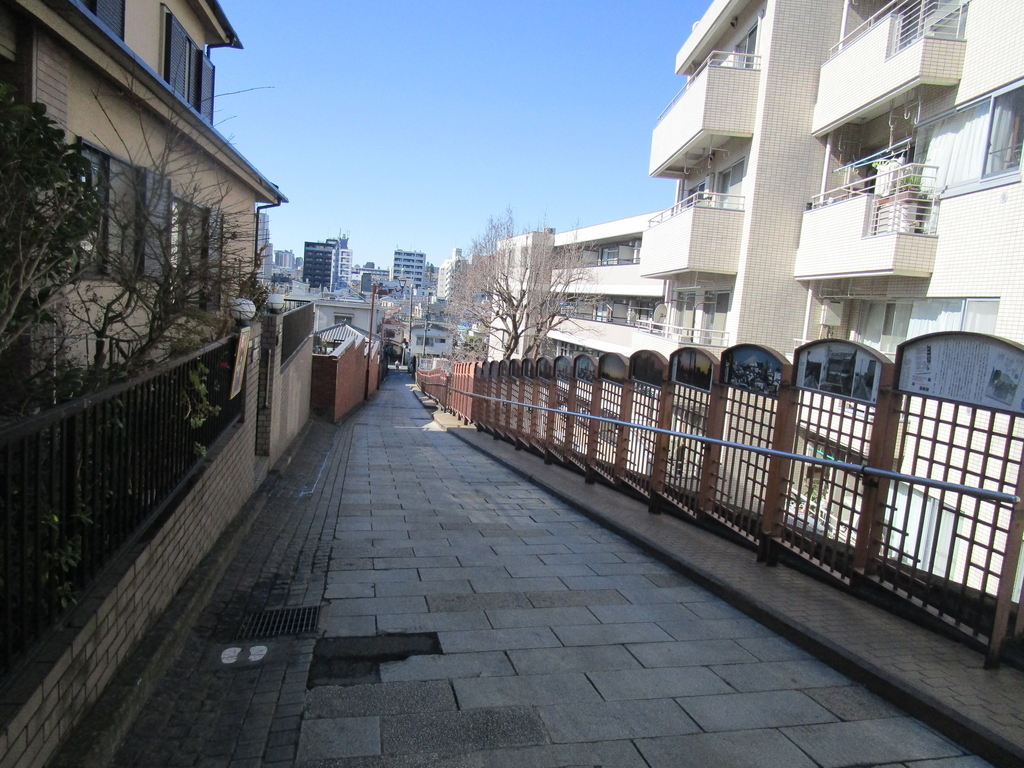 f:id:hideki-sansho:20190113195205j:plain f:id:hideki-sansho:20190113195205j:plain