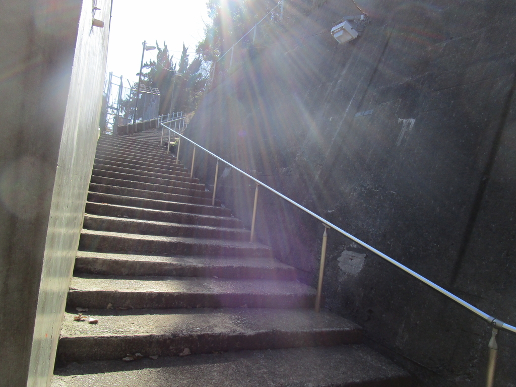 f:id:hideki-sansho:20190113201239j:plain f:id:hideki-sansho:20190113201239j:plain