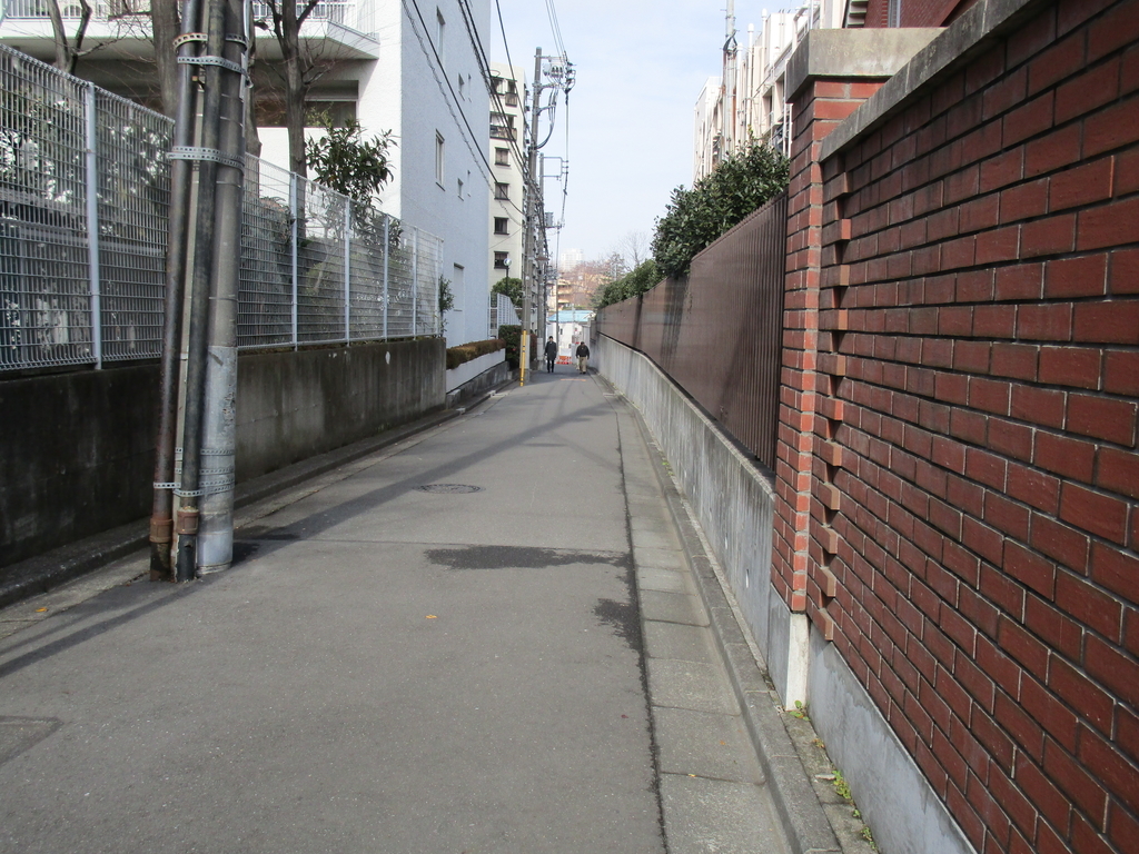 f:id:hideki-sansho:20190113202402j:plain f:id:hideki-sansho:20190113202402j:plain