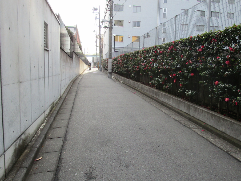 f:id:hideki-sansho:20190113202429j:plain f:id:hideki-sansho:20190113202429j:plain