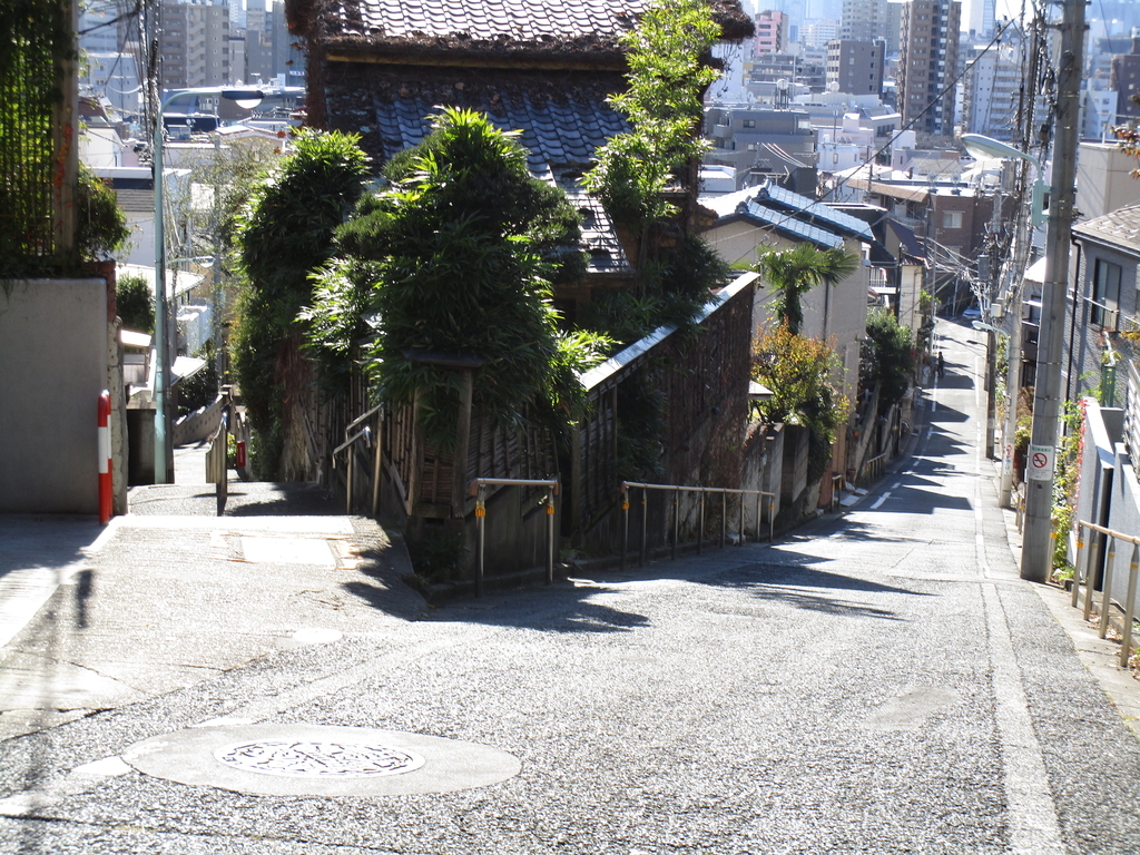 f:id:hideki-sansho:20190113203643j:plain