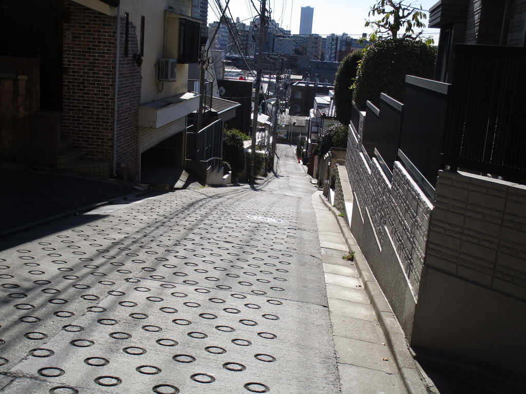 f:id:hideki-sansho:20190113210252j:plain f:id:hideki-sansho:20190113210252j:plain