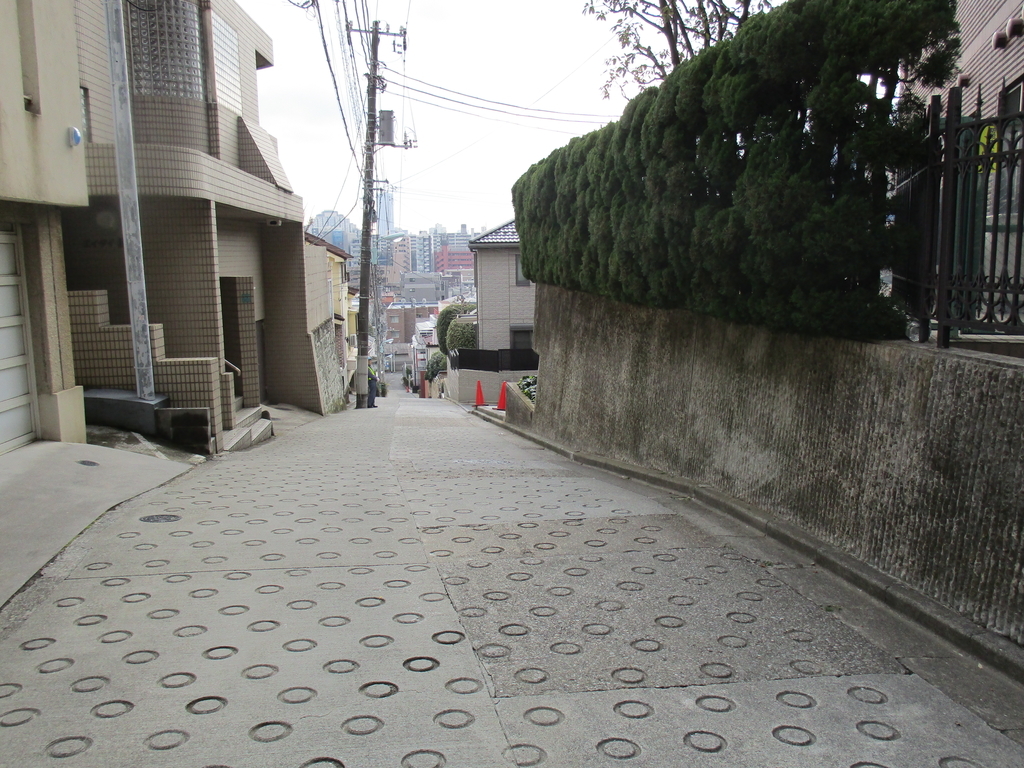 f:id:hideki-sansho:20190114134629j:plain