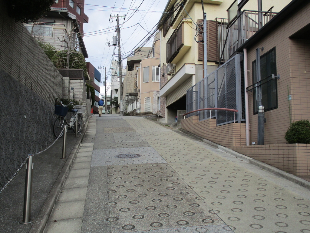 f:id:hideki-sansho:20190114134655j:plain