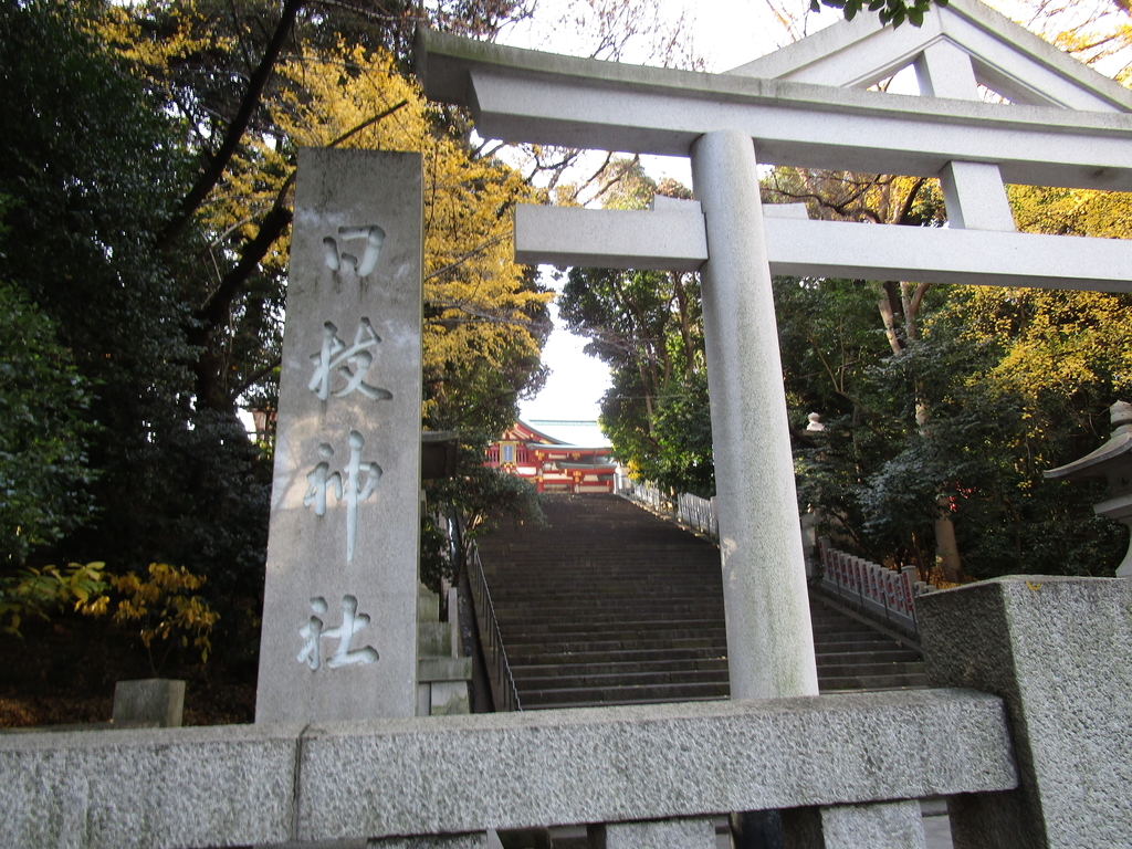 f:id:hideki-sansho:20190118134436j:plain f:id:hideki-sansho:20190118134436j:plain