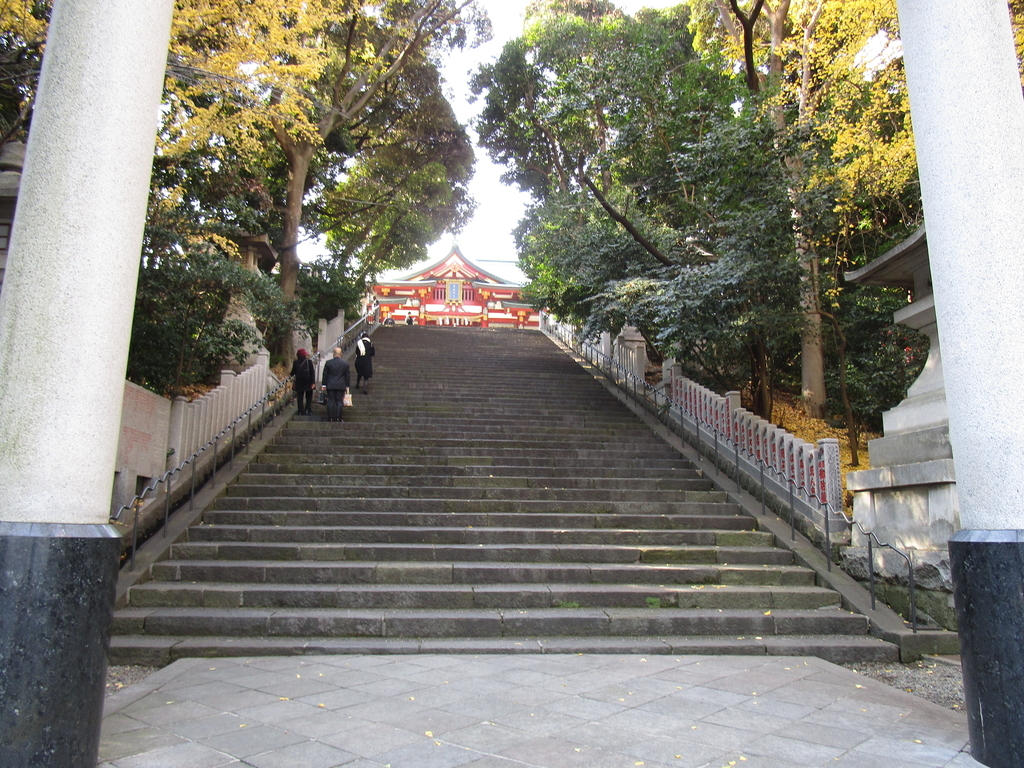 f:id:hideki-sansho:20190118134503j:plain f:id:hideki-sansho:20190118134503j:plain