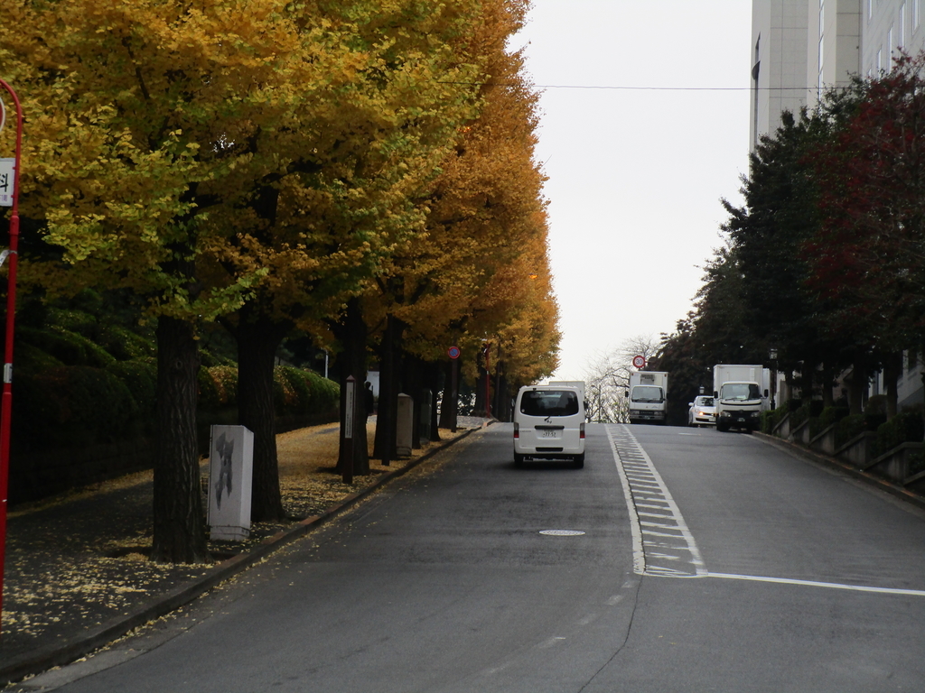 f:id:hideki-sansho:20190119103308j:plain f:id:hideki-sansho:20190119103308j:plain
