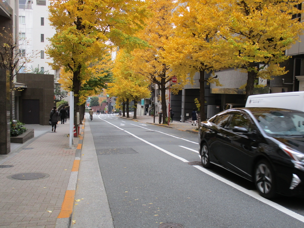 f:id:hideki-sansho:20190119103716j:plain f:id:hideki-sansho:20190119103716j:plain