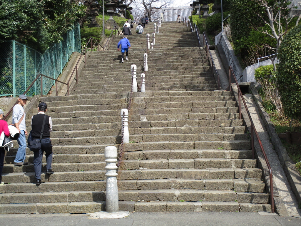 f:id:hideki-sansho:20190120194618j:plain