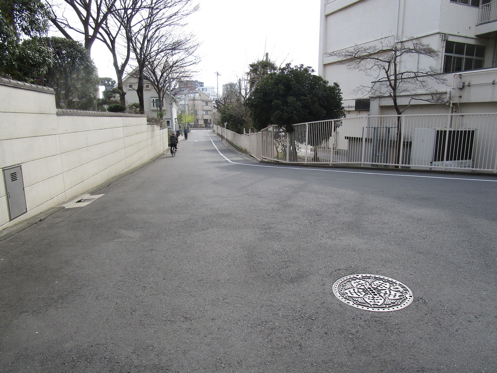 f:id:hideki-sansho:20190120195256j:plain f:id:hideki-sansho:20190120195256j:plain