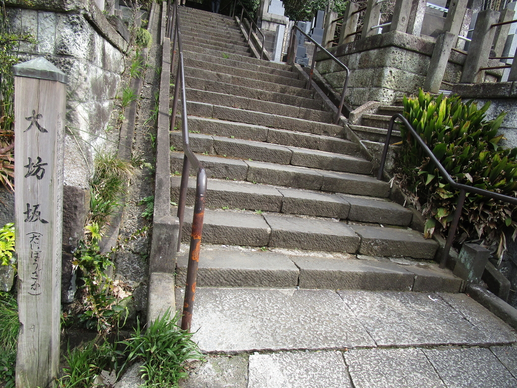 f:id:hideki-sansho:20190120195759j:plain f:id:hideki-sansho:20190120195759j:plain