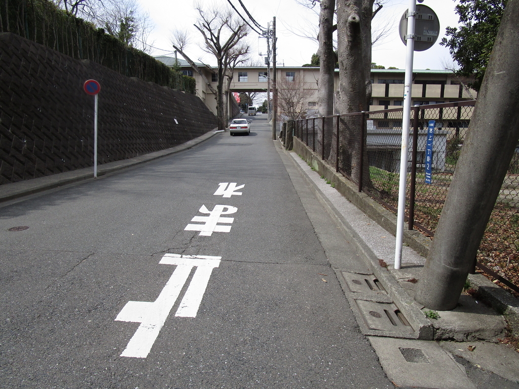 f:id:hideki-sansho:20190120200515j:plain f:id:hideki-sansho:20190120200515j:plain