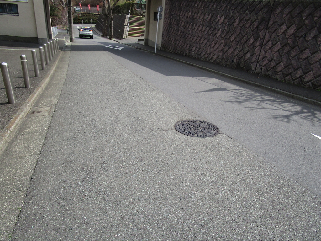 f:id:hideki-sansho:20190120200543j:plain f:id:hideki-sansho:20190120200543j:plain