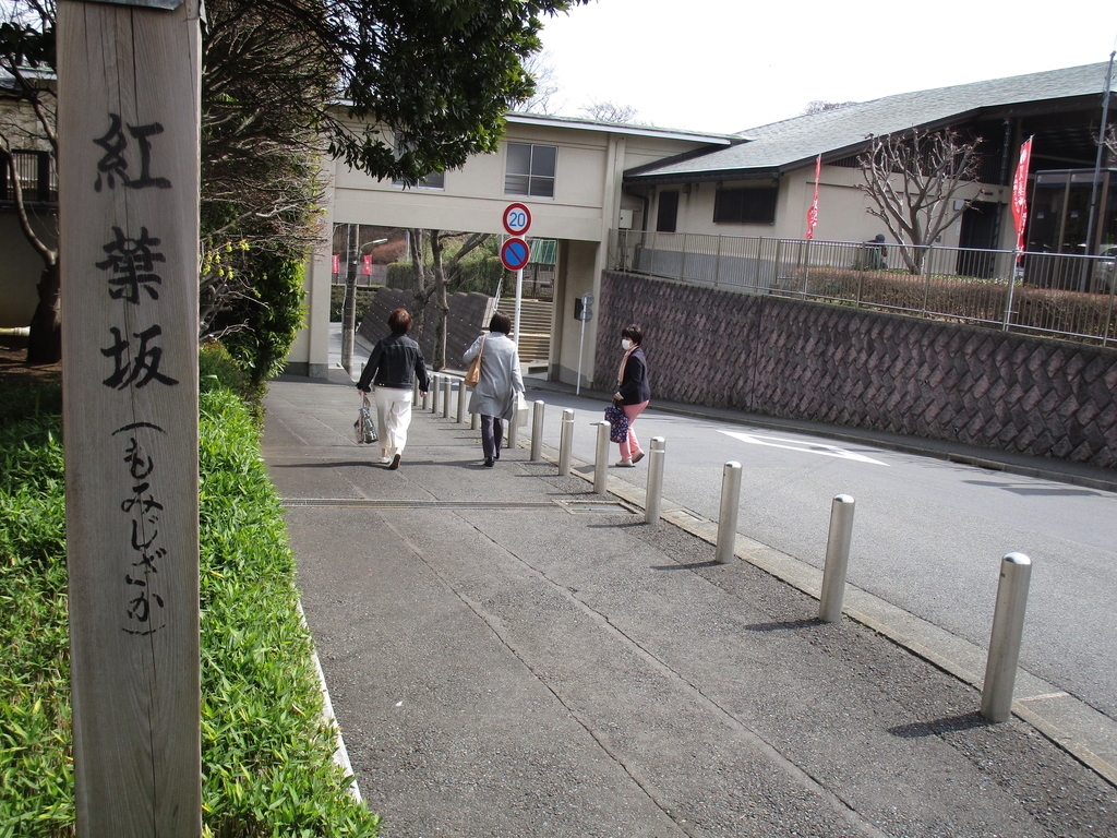 f:id:hideki-sansho:20190120200611j:plain