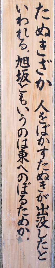 f:id:hideki-sansho:20190123211357j:plain f:id:hideki-sansho:20190123211357j:plain