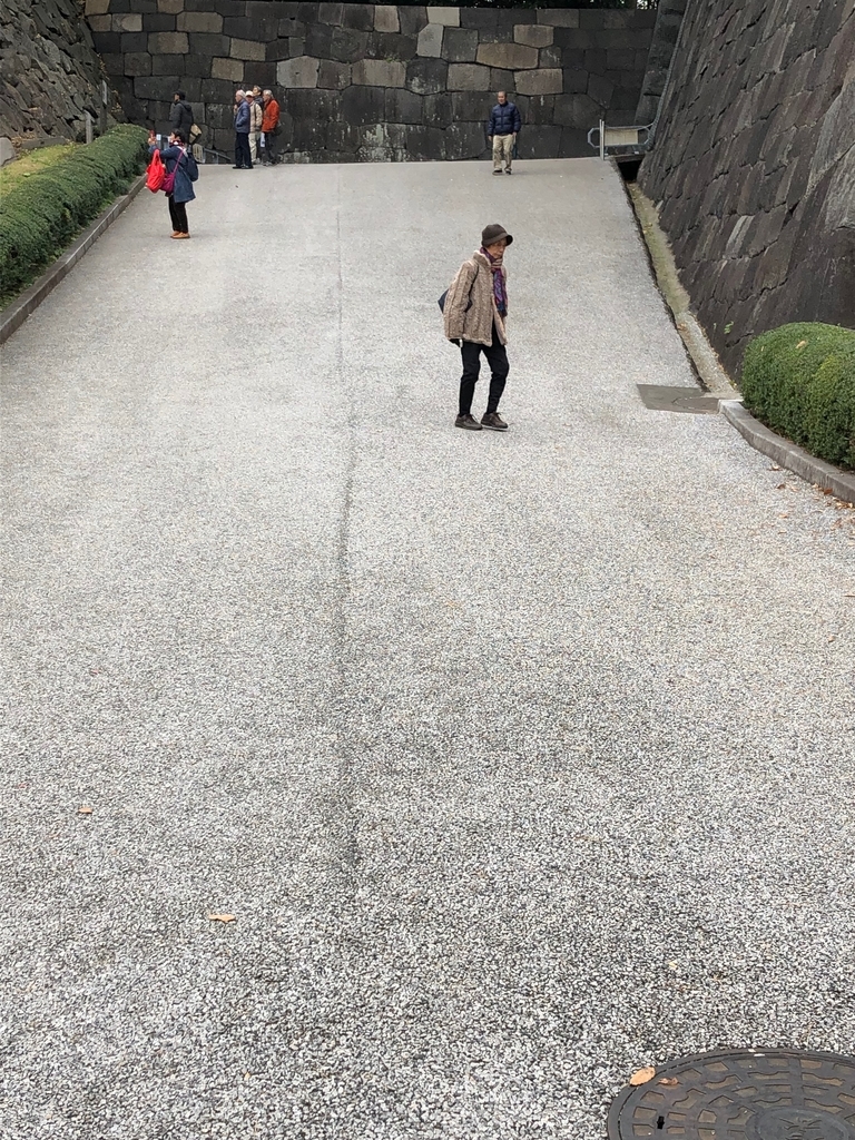f:id:hideki-sansho:20190124153529j:plain f:id:hideki-sansho:20190124153529j:plain