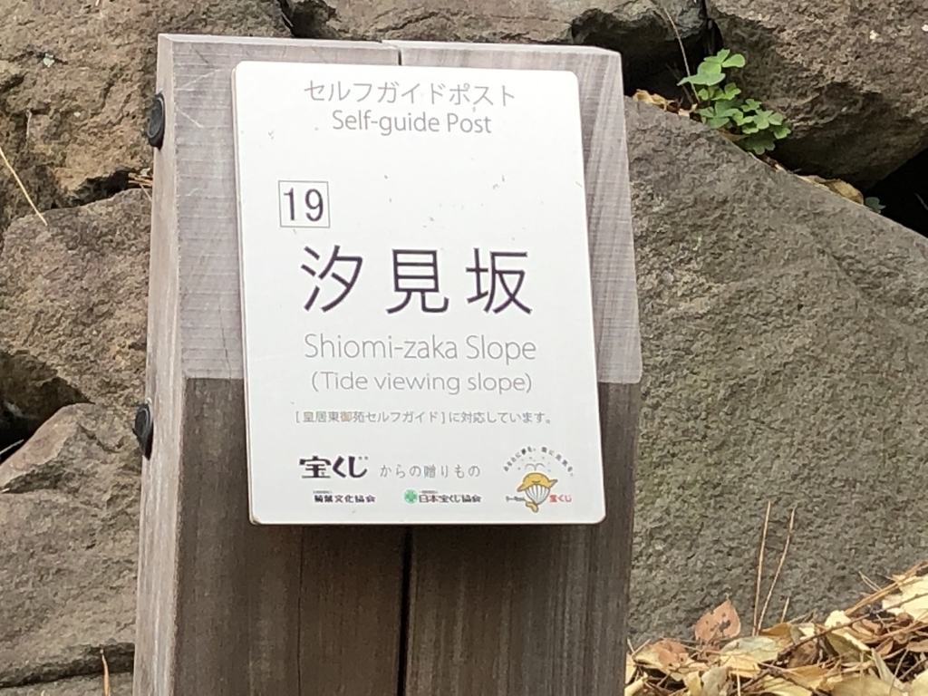 f:id:hideki-sansho:20190124153603j:plain f:id:hideki-sansho:20190124153603j:plain