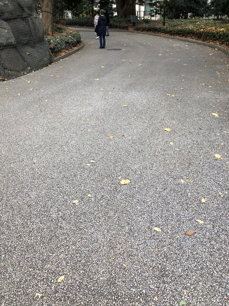 f:id:hideki-sansho:20190124153634j:plain f:id:hideki-sansho:20190124153634j:plain