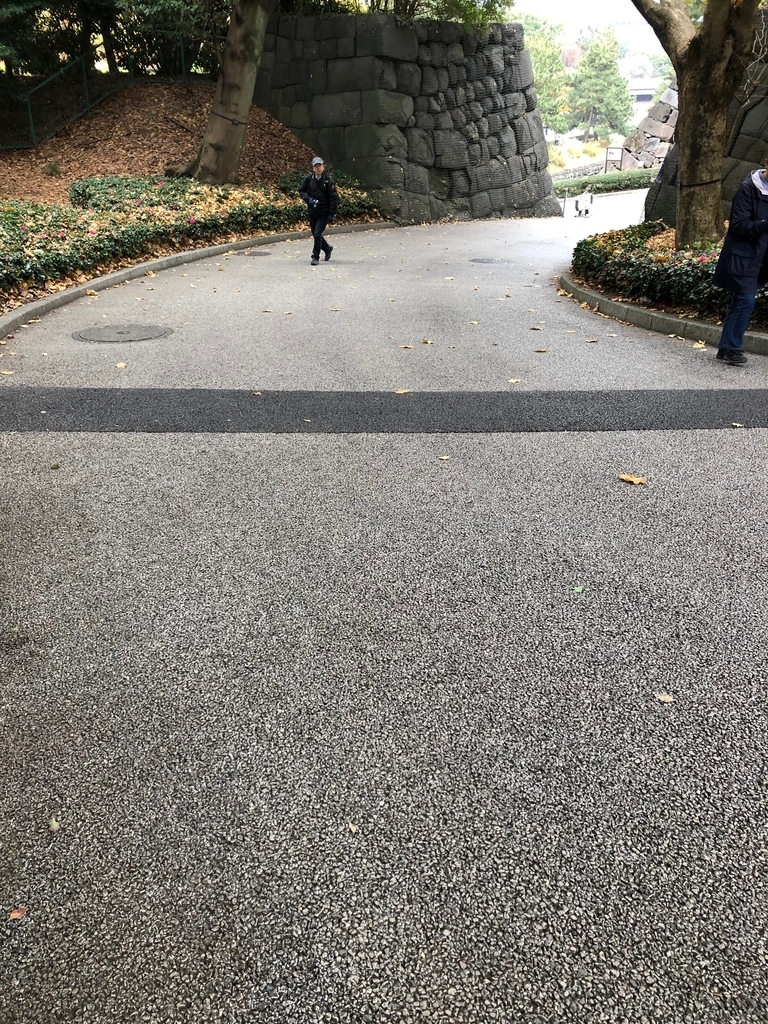 f:id:hideki-sansho:20190124153651j:plain f:id:hideki-sansho:20190124153651j:plain